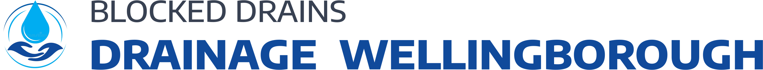 website logo